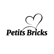mon petit bricks